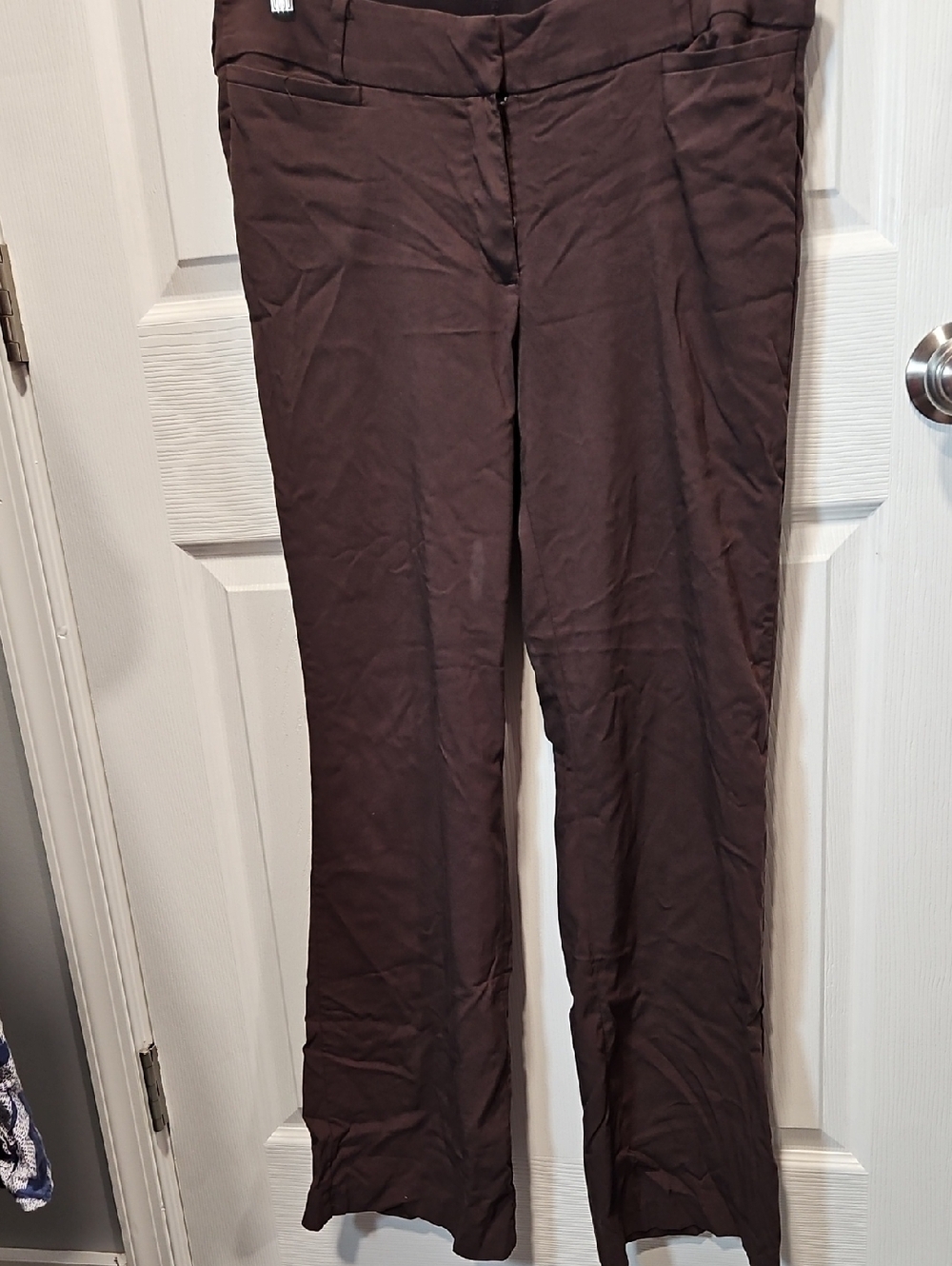 Lane Bryant Allie Dark Brown Bootcut Pants